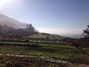 Esalen in the fall
